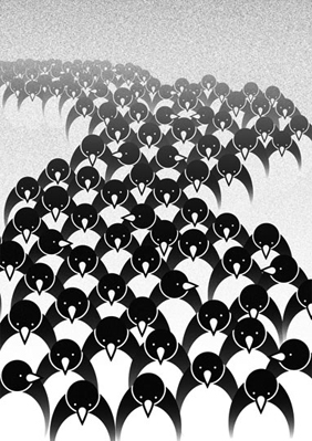 penguins-4