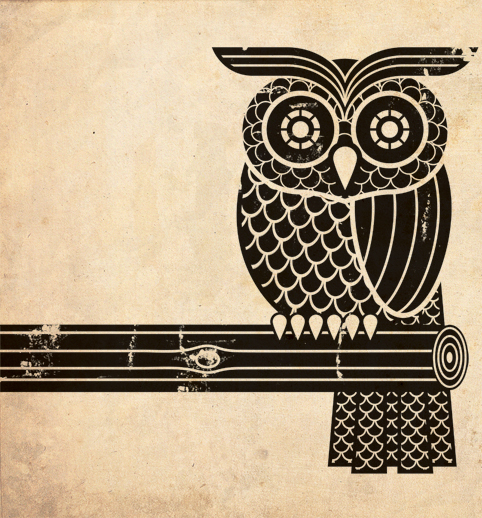 owlillustration